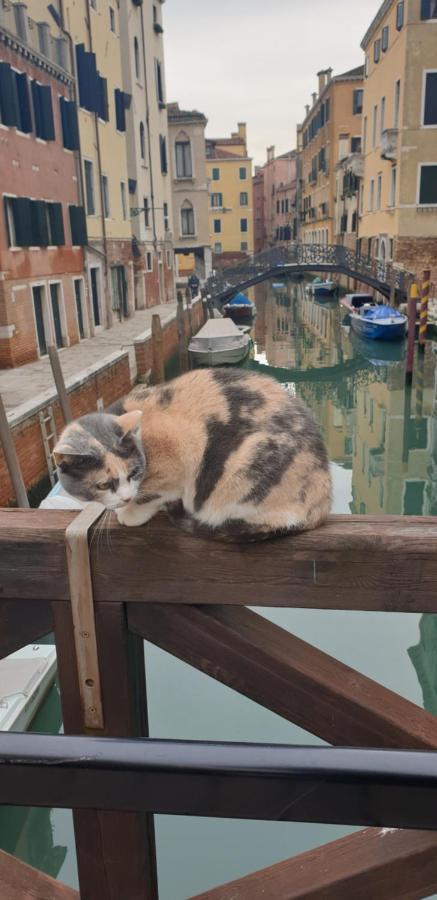 Magic Casanova Flat In The Heart Of Βενετία Εξωτερικό φωτογραφία